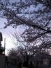 070404_1719~00.jpg